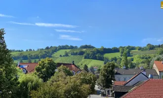 Beste Zentrumslage-Stiftnähe, herrlicher Weinbergblick, 2 Terrassen