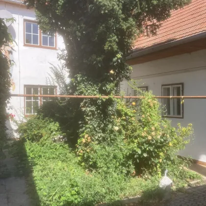 Haus im Zentrum in Ruhelage mit viel Potenzial - Bild 2