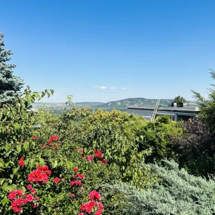 Kleines ausbaufähiges Einfamilienhaus auf exklusivem Grundstück am Ölberg mit Fernblick  – Anlageobjekt - Bild 2