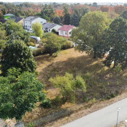 Baugrundstück nur 12 km von der Wiener Stadtgrenze - Ausgezeichnete Lage im Ausmaß von ca. 1.345 m² - Bild 2