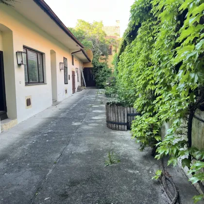 Winzerhaus mit zwei Einfahrten und großem Garten - Gumpoldskirchen - Bild 3