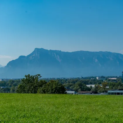 ERFOLGREICH VERMITTELT: Sanierungsobjekt in schöner Lage von Bergheim - Bild 2