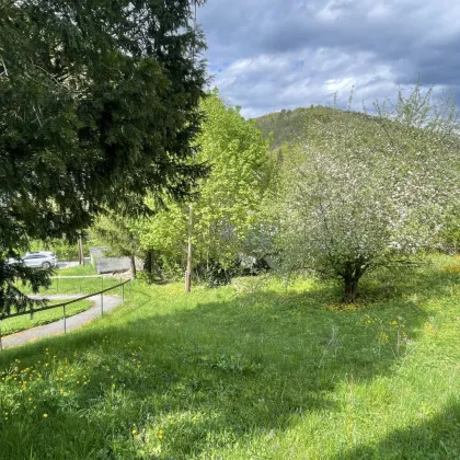 +++ NOTVERKAUF +++ Traumhafte Immobilie mit Entwicklungspotential in grüner Oase mit schönem Garten und Fernblick | ZELLMANN IMMOBILIEN - Bild 3