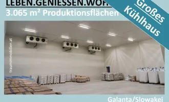 3.065 M² PRODUKTIONSFLÄCHE + GROSSES KÜHLHAUS