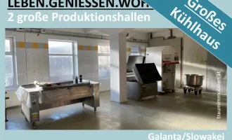 2 GROSSE PRODUKTIONSHALLEN & GROSSES KÜHLHAUS