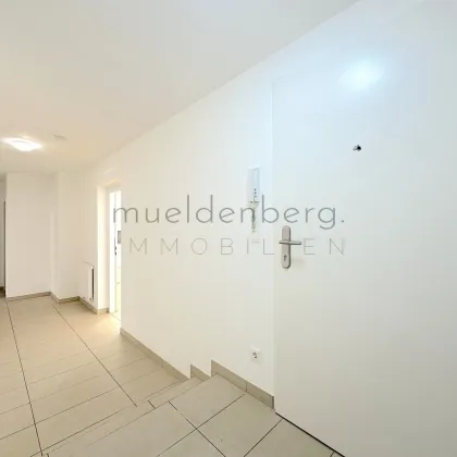 Moderne Traumwohnung mit Garten und Terrasse nahe der alten Donau! - Bild 3