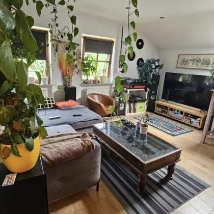 Zwei Zimmer Wohnung sucht Singel zum Glücklich sein - Bild 3