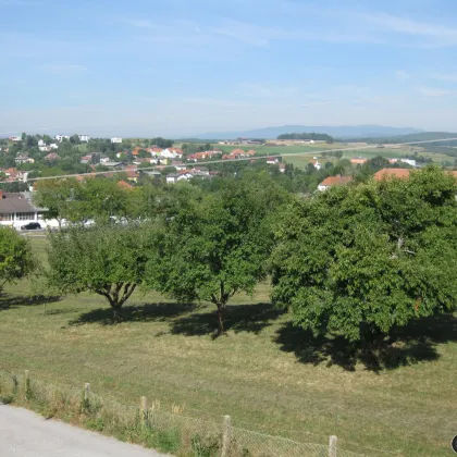 Oberschützen: Wohnhaus in ruhiger Aussichtslage - Bild 3