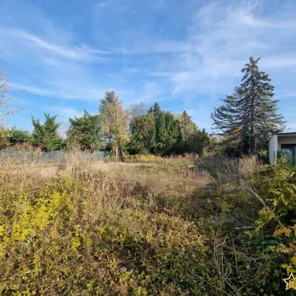 EXQUISITES ZIEGELHAUS! 100 METER beim LANDSCHAFTSSCHUTZGEBIET DONAUSTADT. 5 Zimmer, Dachterrasse, Eigengarten. PROVISIONSFREI für den Käufer. - Bild 2