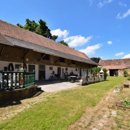 BAUERNHAUS in typisch WEINVIERTLER "L" FORM mit Toreinfahrt - Bild 2