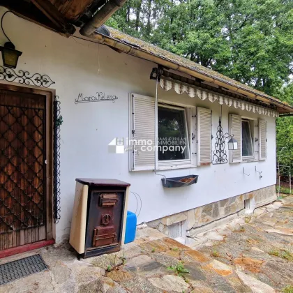 Abgeschotteter Bungalow mit großem Grund in malerischem Michelbach - sanierungsbedürftig, Garage, große Einfahrt & herrlicher Grünblick - Bild 3