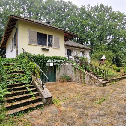 Abgeschotteter Bungalow mit großem Grund in malerischem Michelbach - sanierungsbedürftig, Garage, große Einfahrt & herrlicher Grünblick - Bild 2