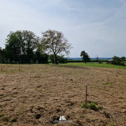 Ihr Baugrundstück in Eisengattern/Kirchham! - Bild 3