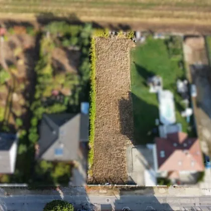 Familie oder Bauträger? Hier kommen alle auf ihre Kosten! - Bild 3