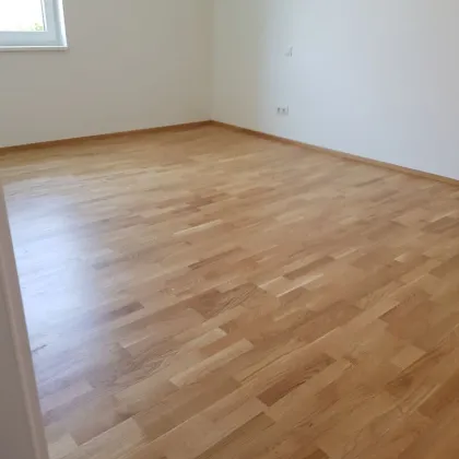 Moderne Büro- oder Praxisräume in Wiener Neustadt - Komfort und Funktionalität vereint! Parkplätze inklusive! - Bild 2