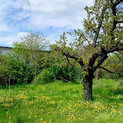 Grundstück in ruhiger Siedlungslage [A\\] - Bild 2