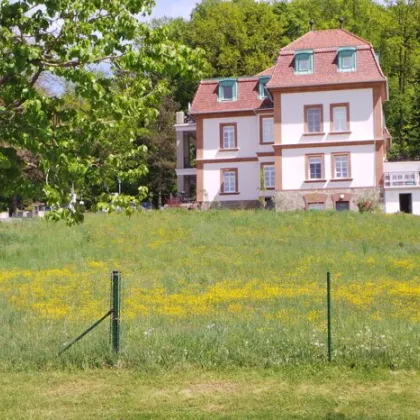 Idylische Lage am Park im beliebten Kurort, sonnige 3ZI+ 30m² Wohn-Terrasse schöner Ausblick ,PP - Bild 2