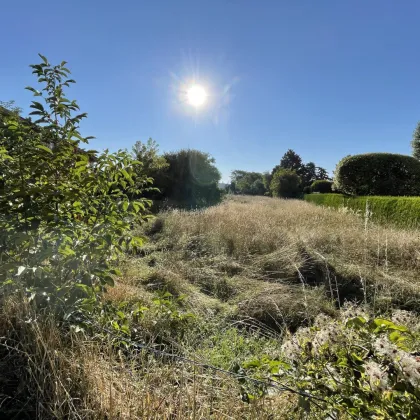 Top Baugrund I Nur noch 4 Parzellen verfügbar | Strasshof - Ruhelage | ideal auch für Bauträger - Bild 2