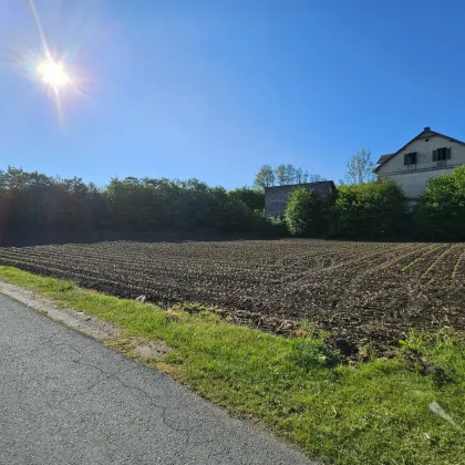 Super Gelegenheit! "Exklusives Bauträgergrundstück mit attraktiver Planstudie in Stainz: Verwirklichen Sie Ihr Traumprojekt in Top-Lage" Gleich Anfragen! - Bild 3