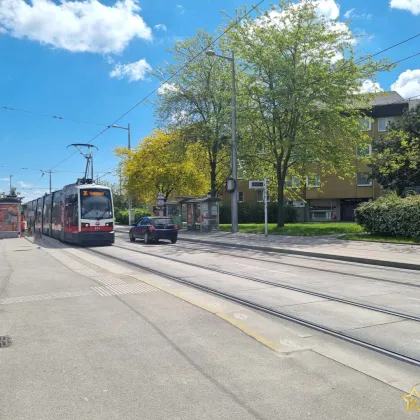 NEUBAU! STATTLICHES EINZELHAUS MIT KELLER! U-BAHN IN 6 GEHMINUTEN. OPULENTE 202m² NFl. PROVISIONSFREI für den Käufer. - Bild 2