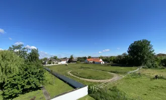 Gols - geräumige Wohnung mit Weitblick in Ruhelage