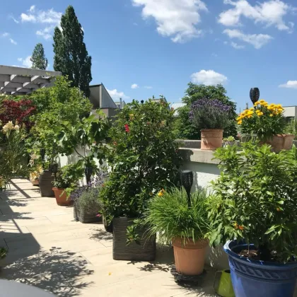 Helle und ruhige 5 Zimmer-Maisonette mit großer Terrasse - Bild 3