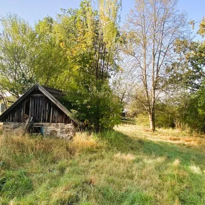 Idyllische Romantik im Waldviertel! - Bild 2