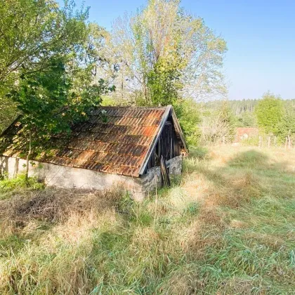 Idyllische Romantik im Waldviertel! - Bild 3