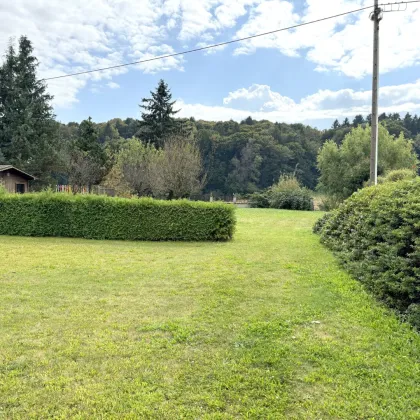 Einfamilienhaus, ca. 145,86 m², 3 Zimmer, vorbereiteten Dachgeschoßausbau, St. Stefan in Rosental, Grund 1063 m²   - Bild 2