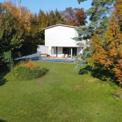 DB Immobilien | Einzigartiger Bungalow mit großzügigem (Bau-) Grundstück und Pool zu verkaufen! - Bild 2