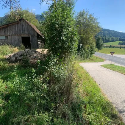 St Veit / St Donat : 2,7 Ha Land- und Forstw. -Grundstück mit Widmungpotenzial , zzt Pferde Weide mit Stall & Quelle,  in traumhafter Lage in Kärnten -  für 399.000,00 € zu haben! - Bild 2