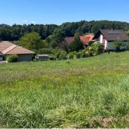 4 einzigartige Baugrundstücke in Ehrenhausen an der Weinstraße! *Provisionfrei* - Bild 2