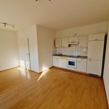 Schöne 2-Zimmer-Wohnung mit großzügigem Balkon - ab sofort - zu vermieten! - Bild 2