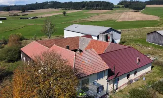 Bauernhaus im Dunkelsteinerwald in Ruhelage