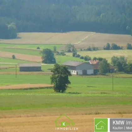 Bauernhaus im Dunkelsteinerwald in Ruhelage - Bild 2