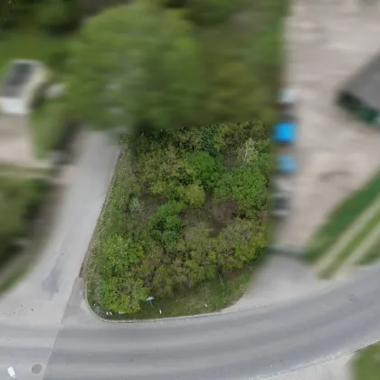 Entzückendes Kleingarten Grundstück in idyllischer Lage in Strasshof - Bild 2