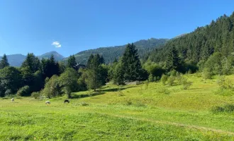 Wohnen im Herzen der Alpen – Baugrundstück in malerischer Umgebung in Donnersbachwald.