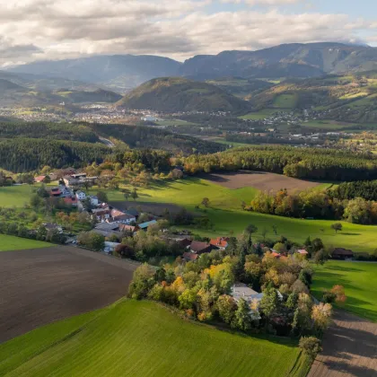 Traumhafter Landsitz mit viel Platz in idyllischer Einzellage - Bild 3