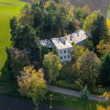 Traumhafter Landsitz mit viel Platz in idyllischer Einzellage - Bild 2