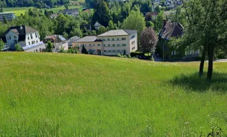 Bad Schallerbach: Großflächiges Baugrundstück (6395m²) in Zentrumslage zu verkaufen!