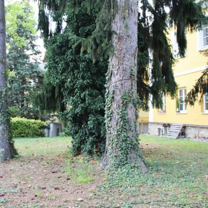 ++ST. LEONHARD++ Lichtdurchflutete 2-Zimmer-Wohnung in traumhafter Villa - AB SOFORT VERFÜGBAR - Bild 3