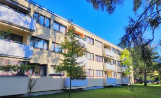 NÄHE REICHE LIESING - Sonnige 3-Zimmer Wohnung mit Loggia