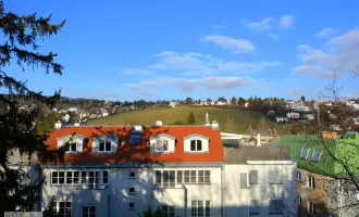 DORNBACH - TERRASSENWOHNUNG MIT SAUNA UND GARAGE