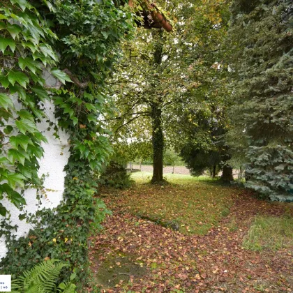 Einfamilienhaus mit idyllischem Garten in Attnang Puchheim zu verkaufen - Bild 3