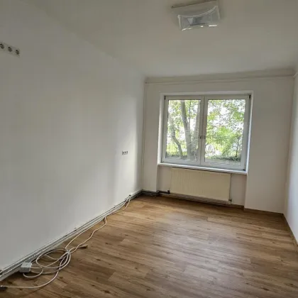 Liebe Kleinwohnung, 41m2, teilweise neu saniert, Grünruhelage! - Bild 3