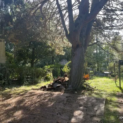 Attraktives Baugrundstück am Wolfersberg - Traumhafte Lage mit großem Garten - Bild 2