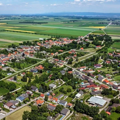 Baugrund in Loimersdorf (Marktgemeinde Engelhartstetten), Marchfeld - Bild 2