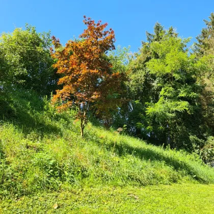 Freizeitgrundstück in Wels / Au an der Traun - Bild 2