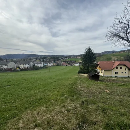 Großzügiges Grundstück in sonniger Hanglage von Graz-Andritz zu verkaufen! - Bild 3