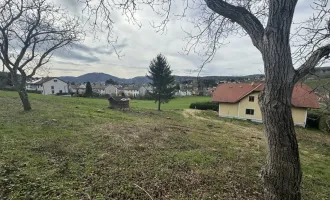 Großzügiges Grundstück in sonniger Hanglage von Graz-Andritz zu verkaufen!